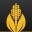 玉米视频 V1.0 黄板