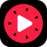 大西瓜pro视频 V1.0 免费版
