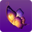 蝴蝶视频 V2.3 安卓版