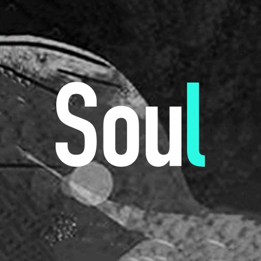 Soul V3.67.1 安卓版