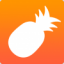 菠萝app下载汅api V3.1 免费版