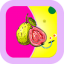 芭乐草莓丝瓜向日葵小猪视频 V2.0 免费版
