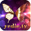 yedietv夜蝶直播 V2.0 最新版