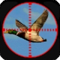 鸭狩猎3D v1.2 安卓版
