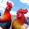 斗鸡模拟器手游 V1.0 安卓版