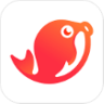 江团App V1.1.4 安卓版