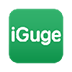 Igg谷歌访问助手CRX V1.1.7 绿色版