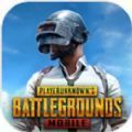 pubgmobile.cσm国际服体验服 V1.9.0 安卓版