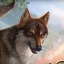 森林孤狼模拟器 V1.2 安卓版