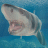 鲨鱼海洋游戏 V1.1.0 安卓版