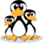 企鹅家族为圣诞节 V2.2 安卓版
