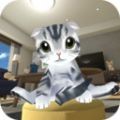 逃离猫咪公寓 V1.2