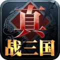 真战三国 V2.3.8 无限制版